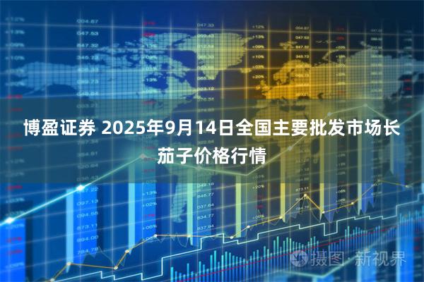 博盈证券 2025年9月14日全国主要批发市场长茄子价格行情
