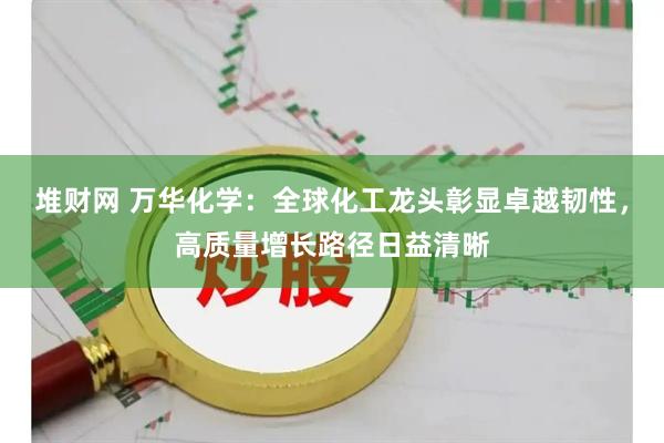 堆财网 万华化学：全球化工龙头彰显卓越韧性，高质量增长路径日益清晰