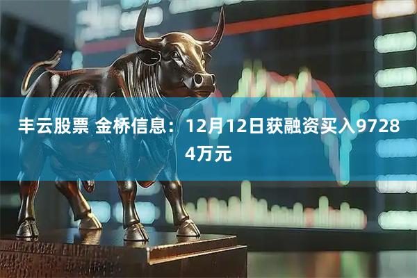 丰云股票 金桥信息：12月12日获融资买入97284万元